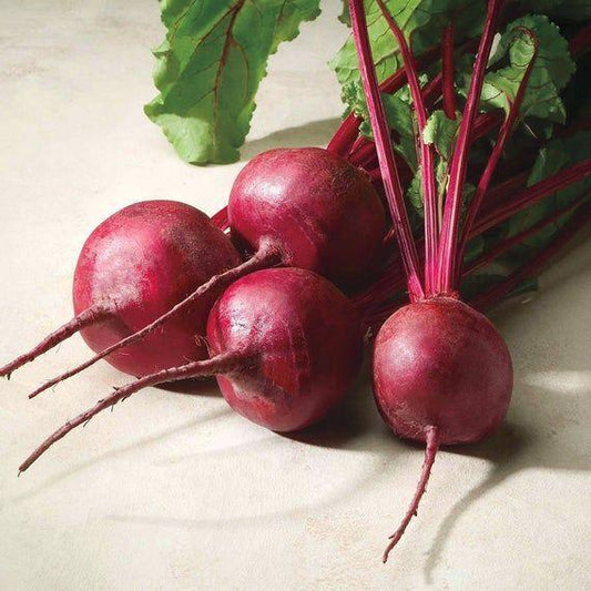 Beet Eagle F1